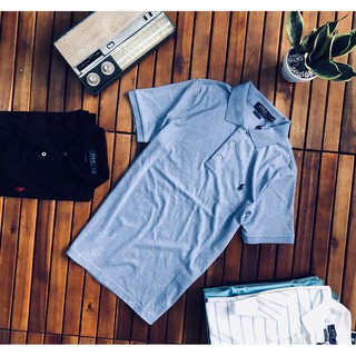 ÁO POLO RALPHLAUREN THUN LẠNH