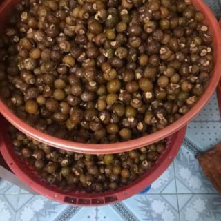 Bồ hòn loại 1