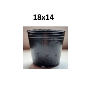 1kg bầu ươm cây 18-14