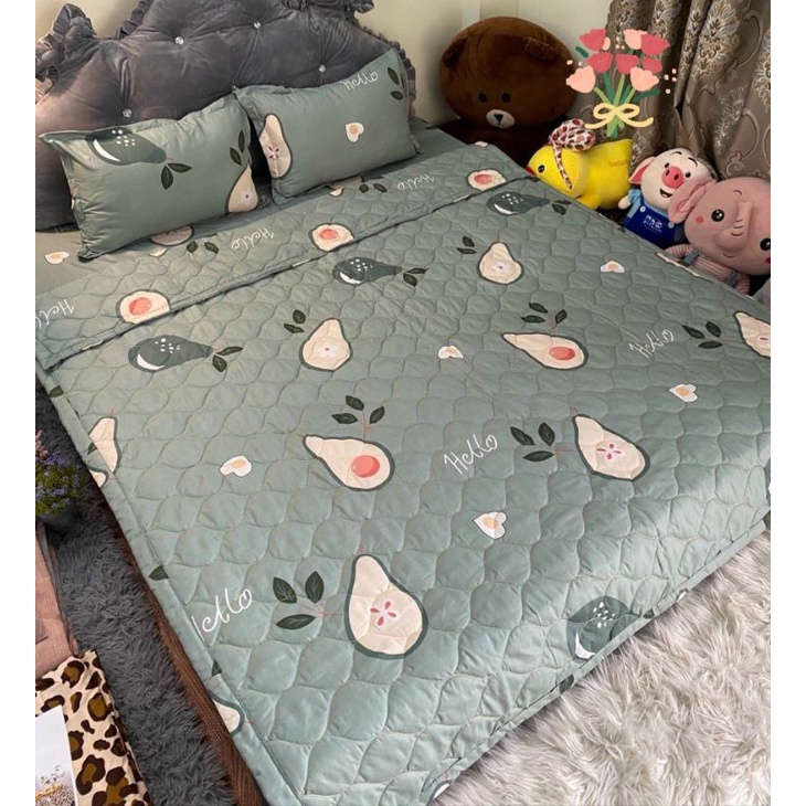 (rẻ vô địch) Bộ ga gối 5 món chăn thu hè ga chun vỏ gối đầu cotton poly khách hàng được chọn mẫu thoải mái khi đến shop | BigBuy360 - bigbuy360.vn