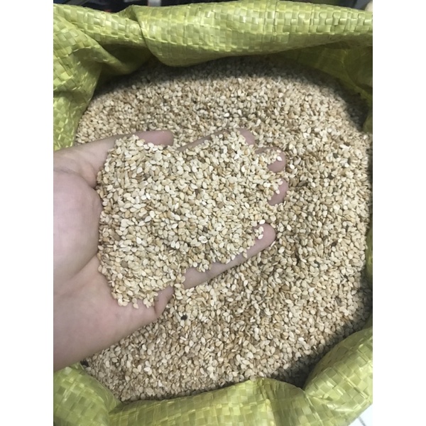 Mè hạt vàng còn vỏ 100gr/500gr tuỳ chọn