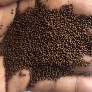 Micro 80 (500g) - Thức ăn cá bảy màu, betta, thủy sinh