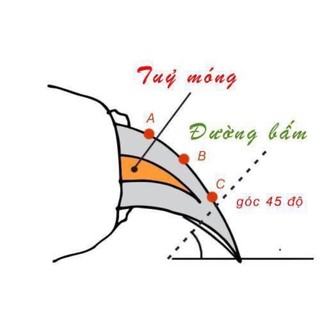 Kìm Bấm Móng Kèm Dũa Cho Chó Mèo