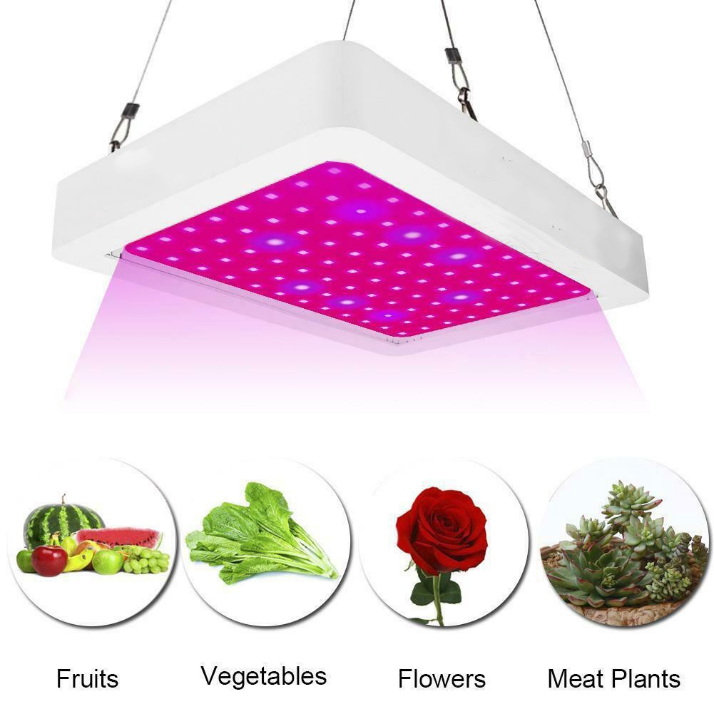 Đèn LED dùng trồng cây thủy sinh trong nhà 1000W