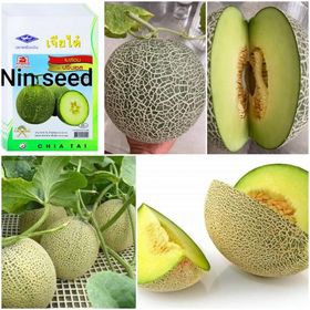 Hạt Giống Dưa Lưới Ruột Xanh Giòn Ngọt 25-30 Hạt - F1 Chiatai