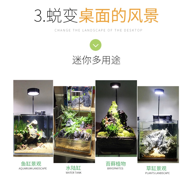 Đèn đế gỗ 3w,5w terrarium, bán cạn