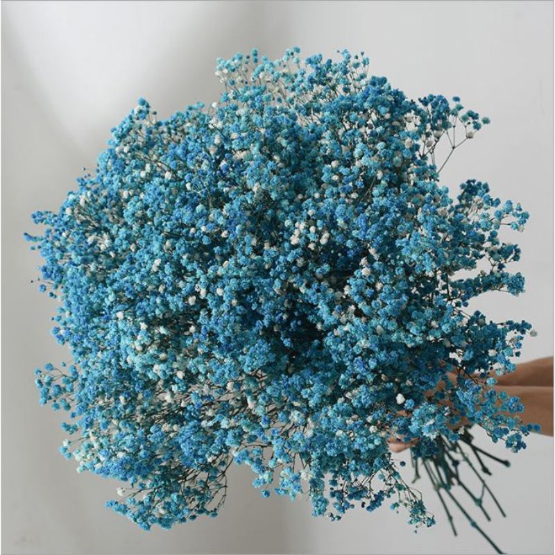 Bó Hoa baby khô , hoa giả trang trí decor make up mini chụp ảnh ướp làm đồ handmade 120g (6-7 cành)