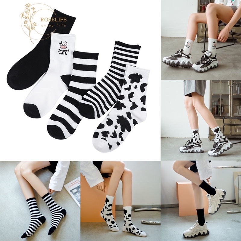 Set tất bò sữa cổ cao 5 đôi