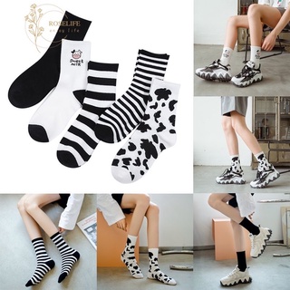 Set tất bò sữa cổ cao 5 đôi
