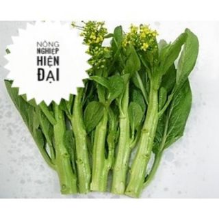 Hạt giống rau Cải ngồng (20gr)