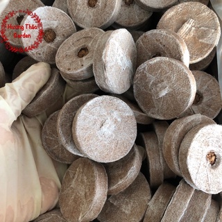 10 Viên Nén Sơ Dừa Ươm Hạt Giống