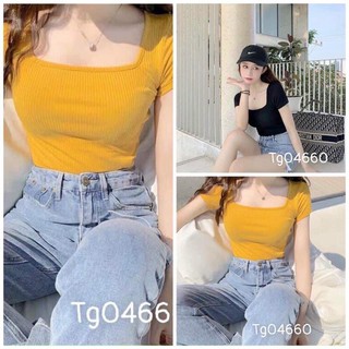 Áo kiểu tay ngắn ôm cực đẹp