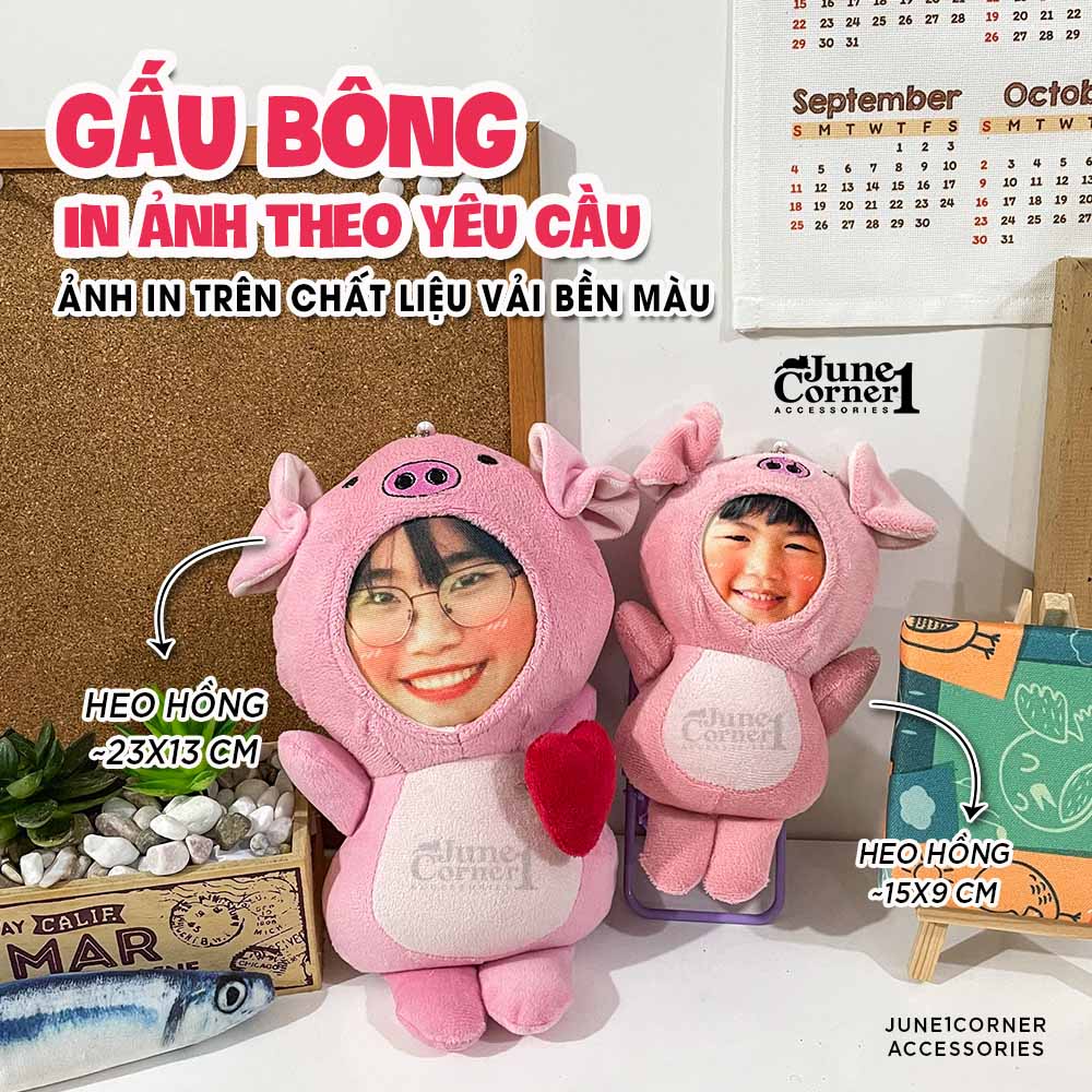 GẤU BÔNG IN ẢNH TRÊN VẢI THEO YÊU CẦU ( MIỄN PHÍ HỘP QUÀ TẶNG )