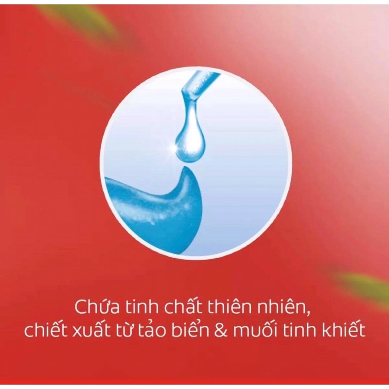 Bàn chải Đánh răng Slimsoft  360Charcoal Gold + Kem đánh răng muối tảo biển,than 40g