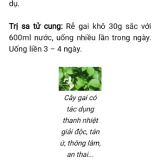 Cây lá gai