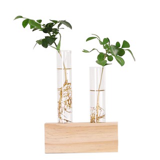 Set đế giữ lọ hoa bằng gỗ độc đáo và 2 lọ bằng thủy tinh trong suốt đẹp mắt