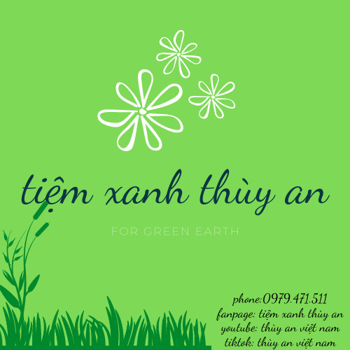 Tiệm xanh Thùy An