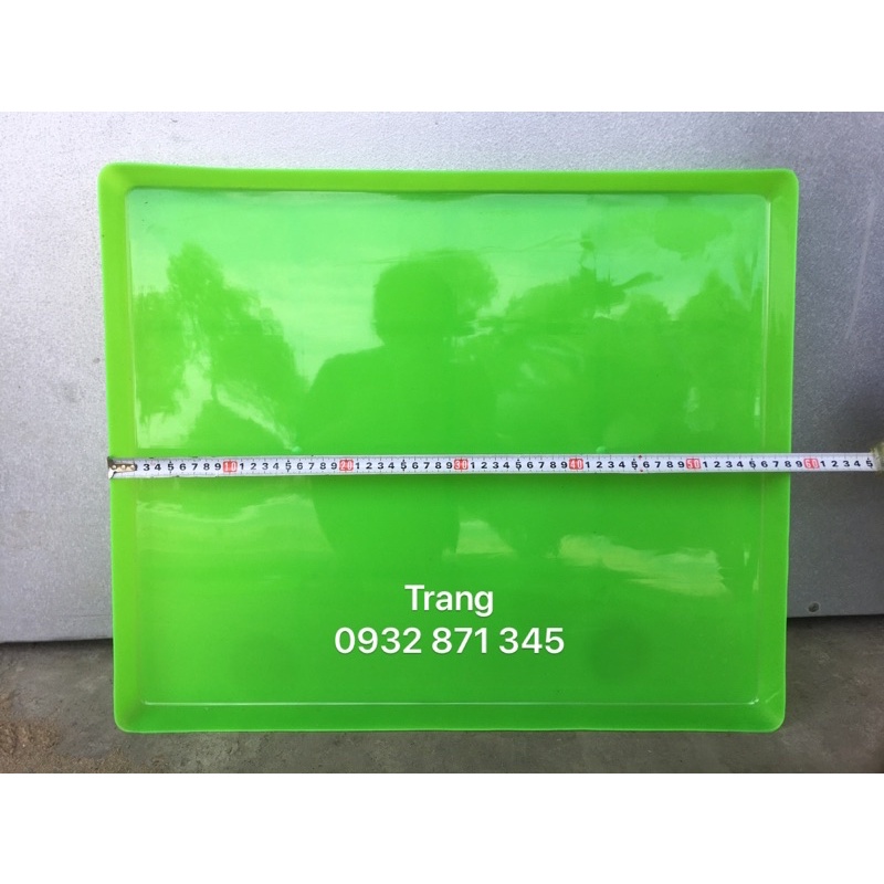 Khay hứng phân 50x60cm