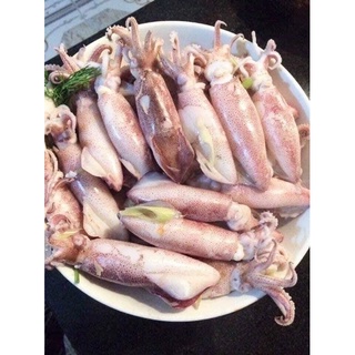 Mực ghim trứng Phan Thiết 1kg (hàng loại A)