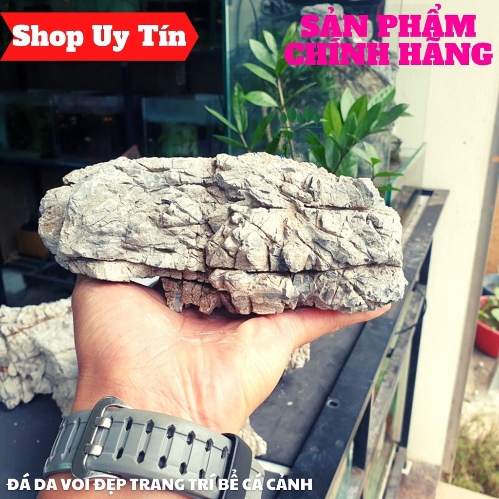 Đá Da Voi Đẹp | Trang trí Bể Cá Thủy Sinh, Phong Cách Biotope, Iwagumi