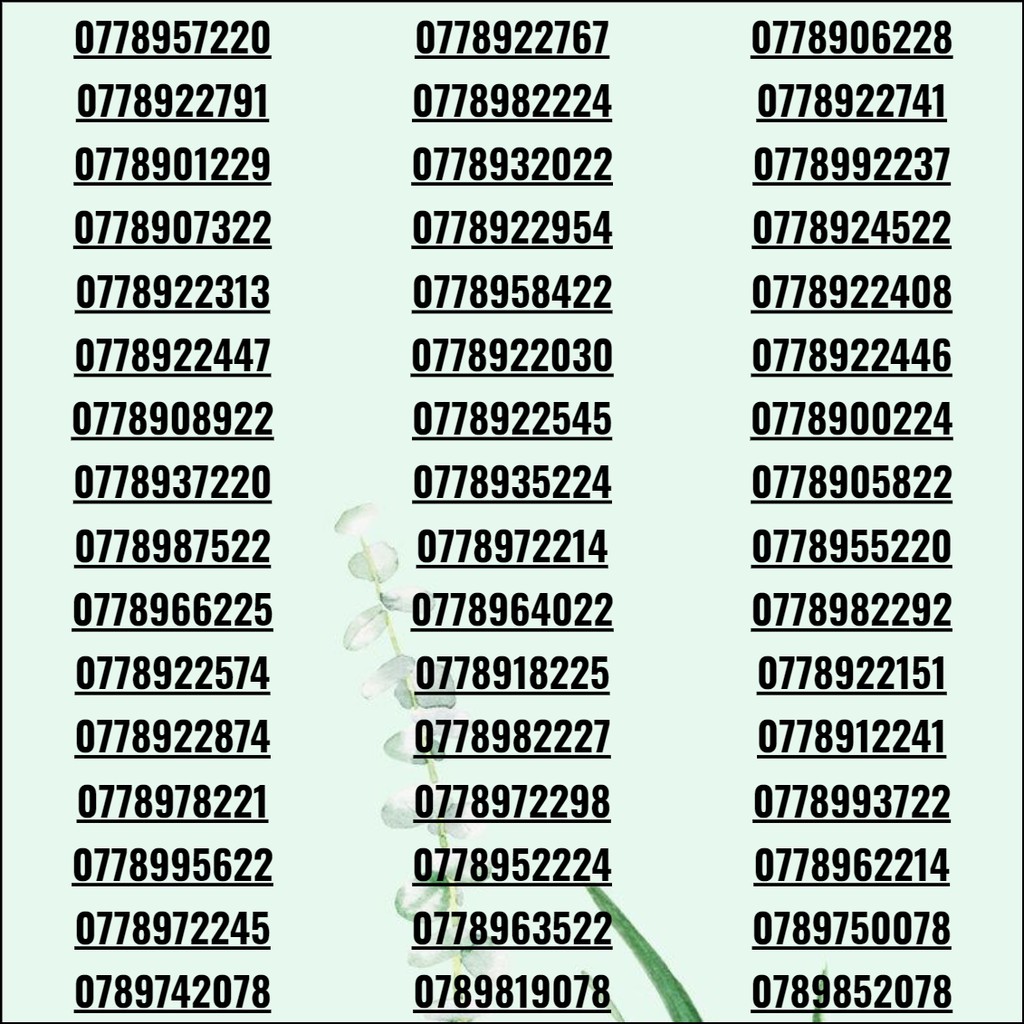 Sim số đẹp, sim 3G/4G/5G giá rẻ phong tiến khuyến mãi vĩnh viễn có thể sảnh tiến, tứ quý, lộc phát max data