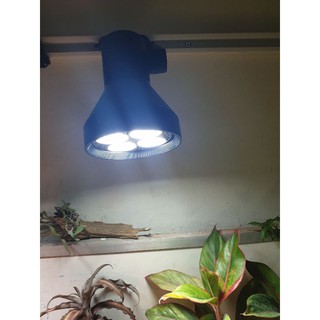 [đèn led trồng cây] đèn quang phổ cho cây sinh trưởng