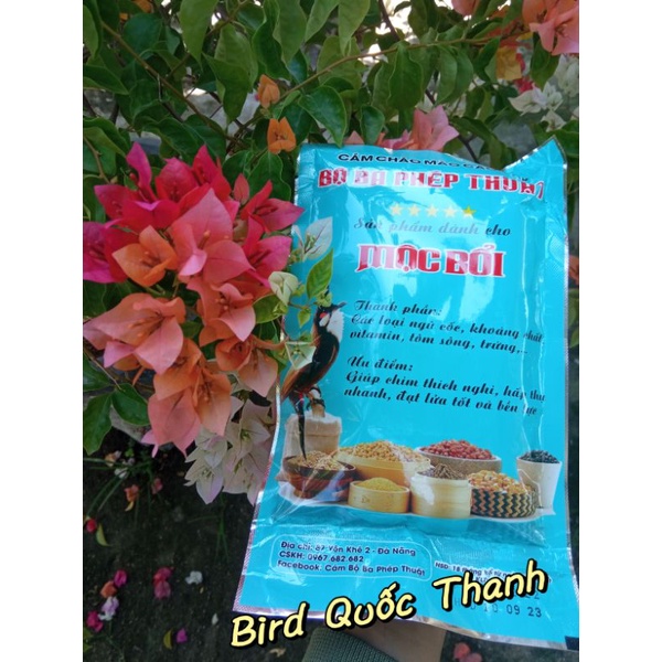 Cám Bộ Ba Phép Thuật