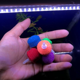 Sủi oxi cho hồ cá , combo 5 cục sủi oxi đủ màu
