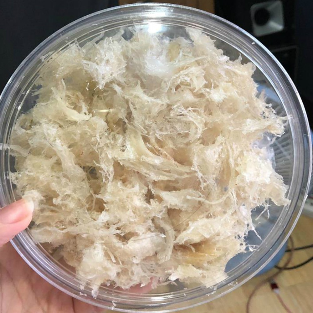 Chân Tổ Yến Đã Làm Sạch Lông Nha Trang - 50g / 100g