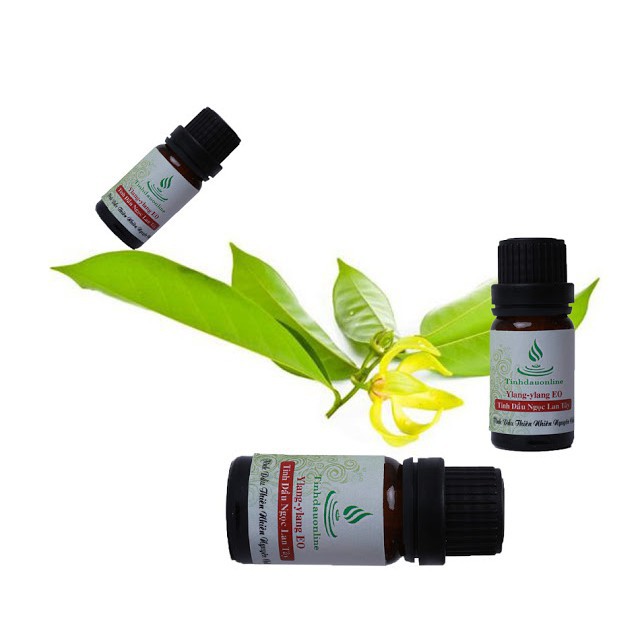 TINH DẦU TỰ NHIÊN 10 ML