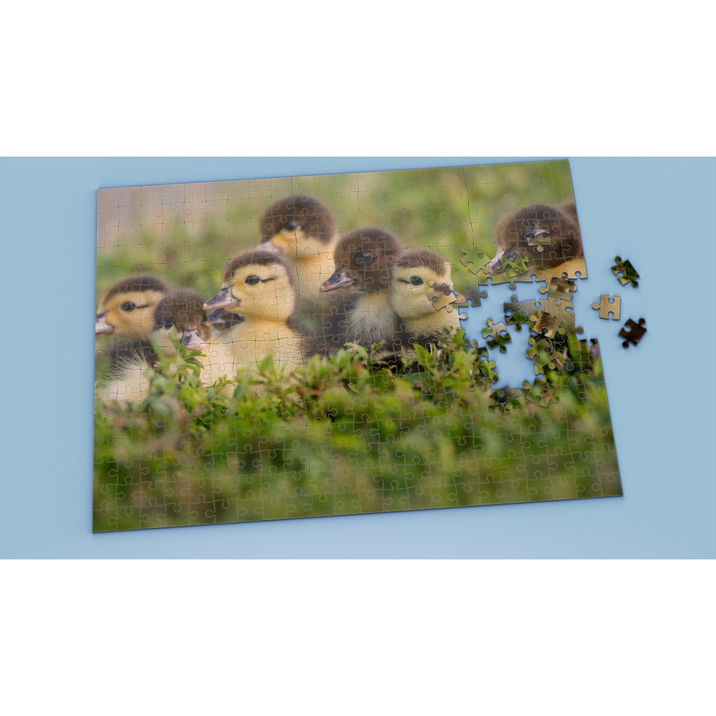 Tranh ghép hình DUCK - Mẫu 3 - Nhận in theo yêu cầu