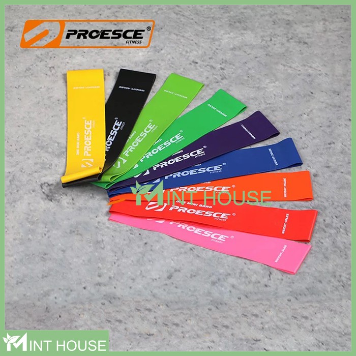 Dây Mini Band Proesce Fitness, Dây Kháng Lực Tập Mông Đùi