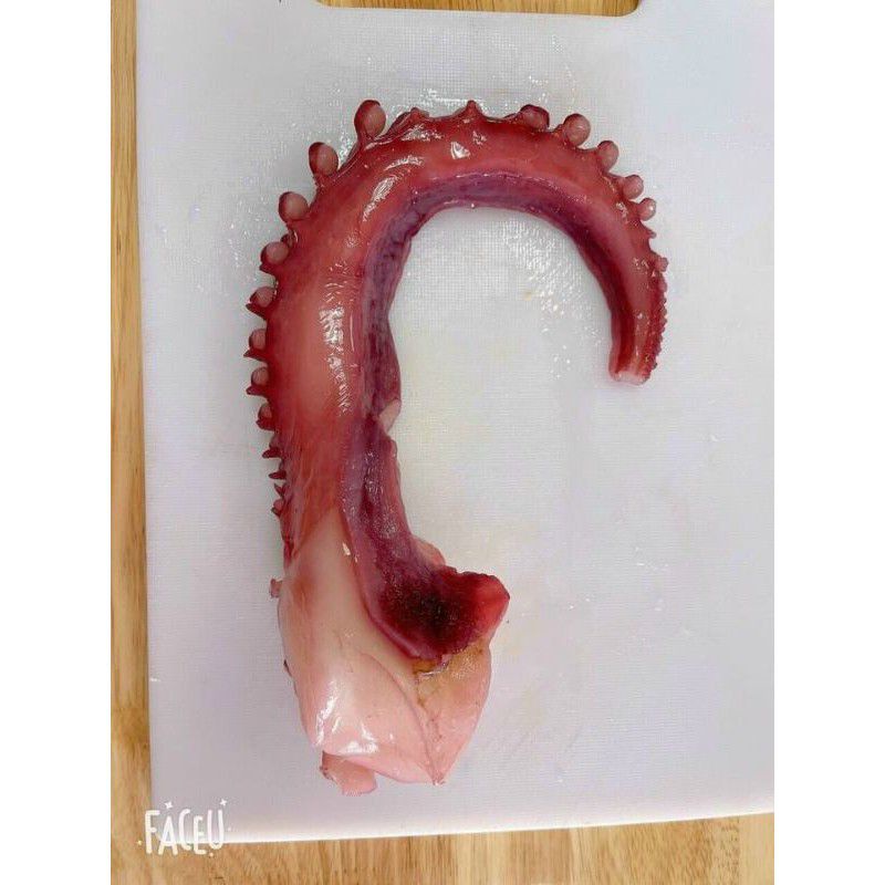 Râu bạch tuộc Nhật Bản 1kg _ hàng loại 1