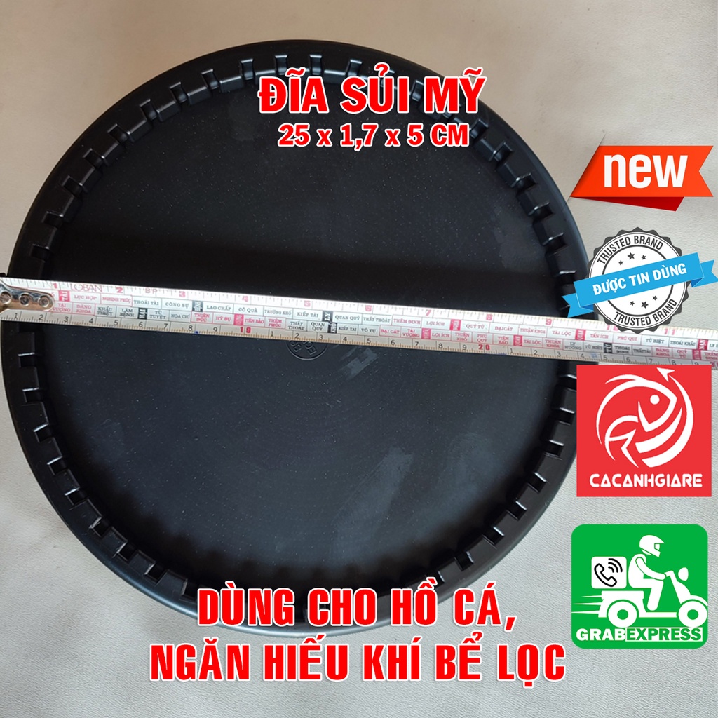 Đĩa sủi mỹ - Đĩa sủi oxy hồ cá