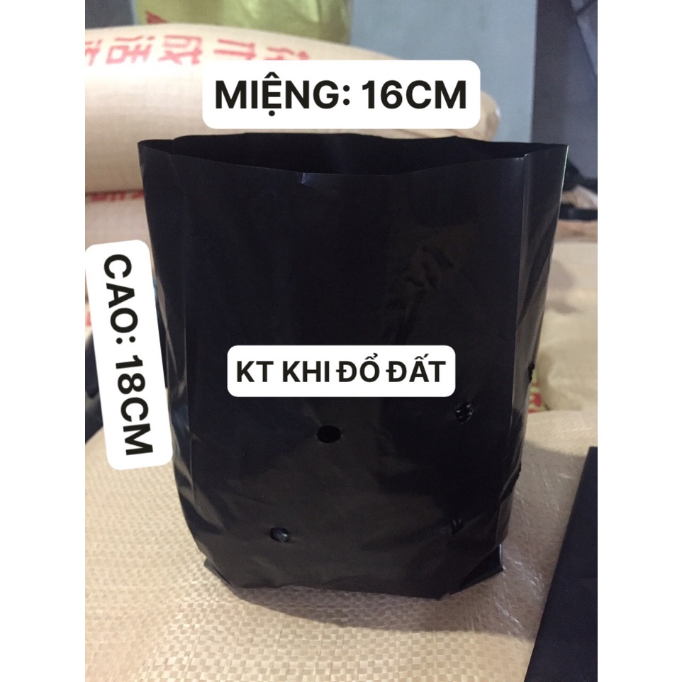 1KG TÚI ƯƠM CÂY MÃ 12*25 ( KÍCH RỄ, MẦM CÂY XANH LÁ, DỊCH TRUYỀN CHO CÂY, BẠT CỎ...)