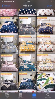 Sét chăn ga gối cotton poly