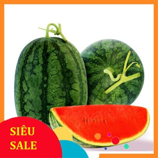 20 Hạt giống Dưa hấu dài Ruột đỏ (tặng gói kích nẩy mầm và hướng dẫn) VIETPHAT