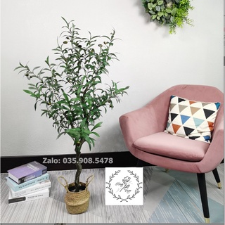 👉 Cây Oliu Giả Trang Trí Nhà Cửa decor siêu xinh
