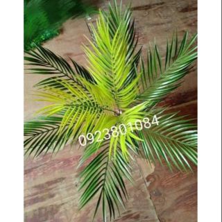 Cây Dừa(cọ) cảnh cao 50cm có Ảnh thật- Cây giả