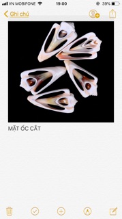 Mặt ốc hỏa tiễn (5 miếng)