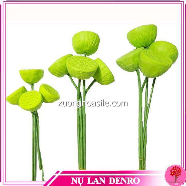 GƯƠNG SEN, ĐÀI SEN