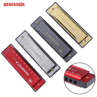 1 Kèn Harmonica 10 Lỗ Dành Cho Người Mới Bắt Đầu