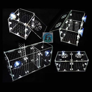 LỒNG CÁ TÉP MICA TRONG SUỐT