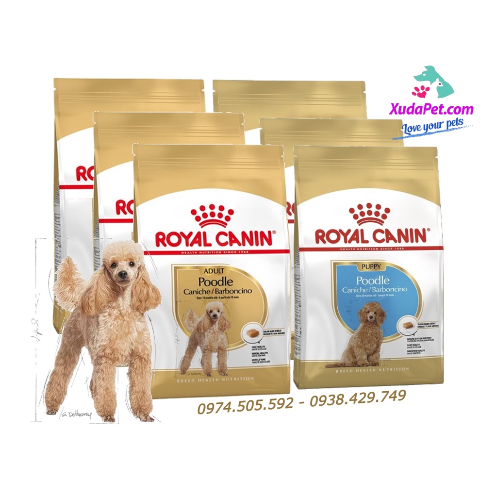 THỨC ĂN ROYAL CANIN DÀNH RIÊNG CHO GIỐNG CHÓ POODLE - SP000425