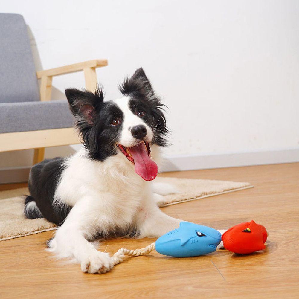 Bàn Chải Đánh Răng Đồ Chơi Cho Thú Cưng