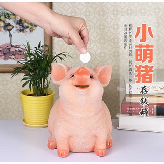 Heo Đất 5D Cực Cool Cực Cute