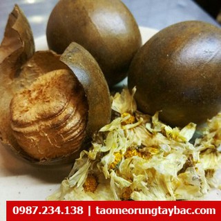 Combo 4 quả la hán + 100g hoa cúc