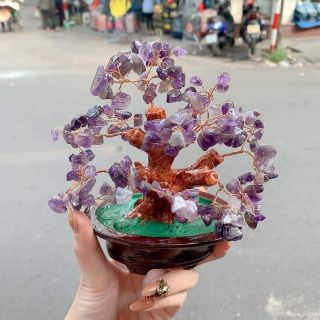 Cây đá tài lộc để bàn làm việc