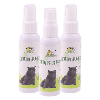 Chai xịt catnip cho mèo 50ml