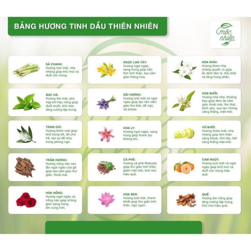 Giá Xưởng Đèn Xông tinh dầu size trung TẶNG Tinh dầu 3 tháng + 2 bóng đèn thay - chính hãng Bát Tràng